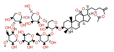 Synallactoside B1